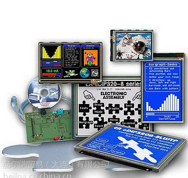 Electronic Assembly