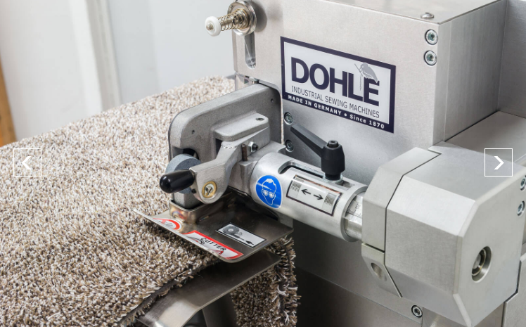 Dohle