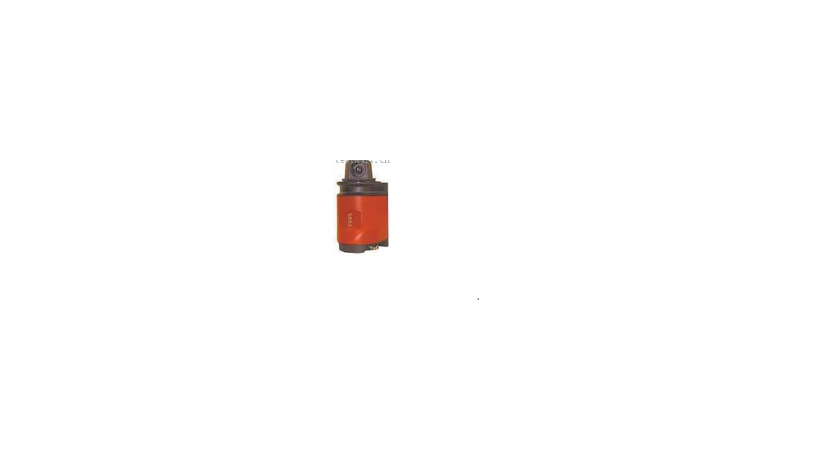 Pyrindus