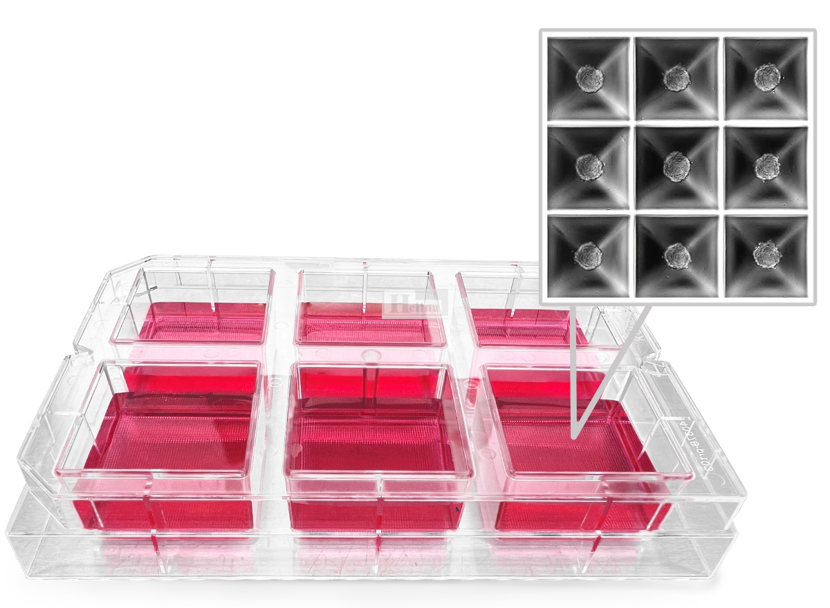 Kugelmeiers  3D细胞培养板