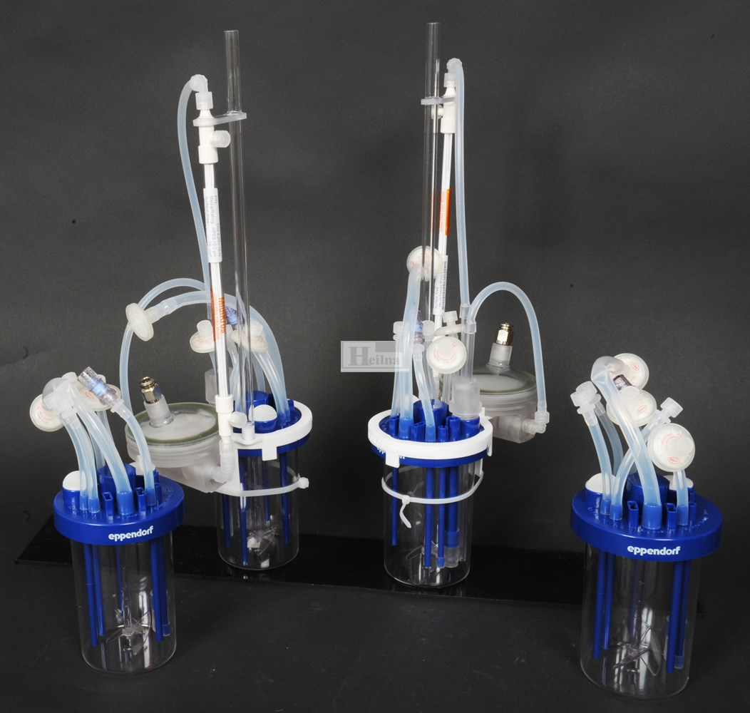 PerfuseCell