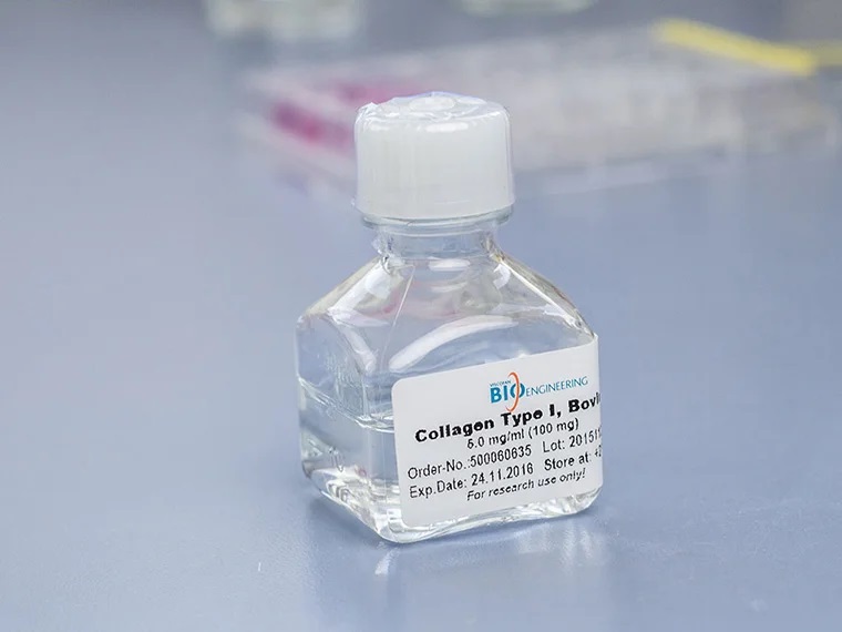 水溶性牛胶原蛋白soluble-collagen-1-02.jpg