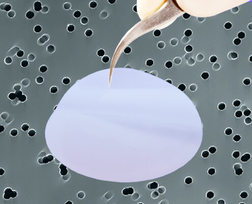 06-ipPORE.jpg