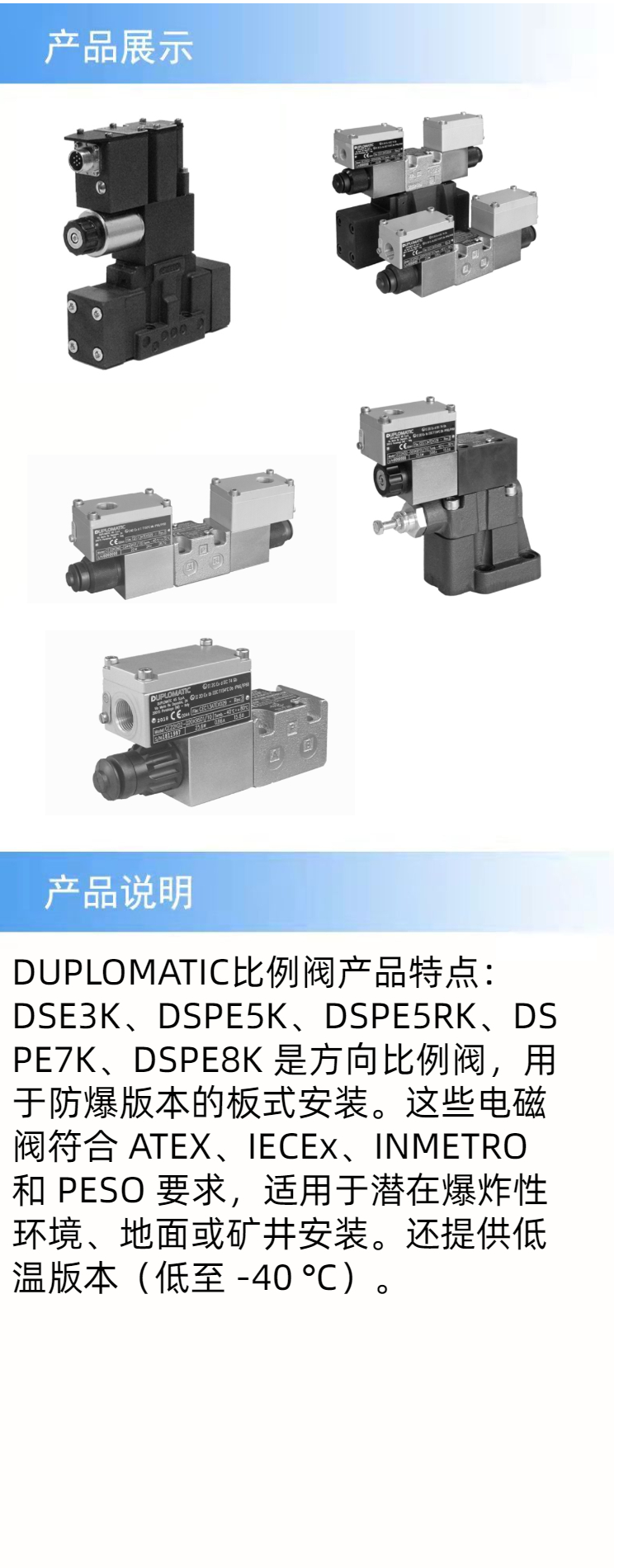 产品详情.jpeg