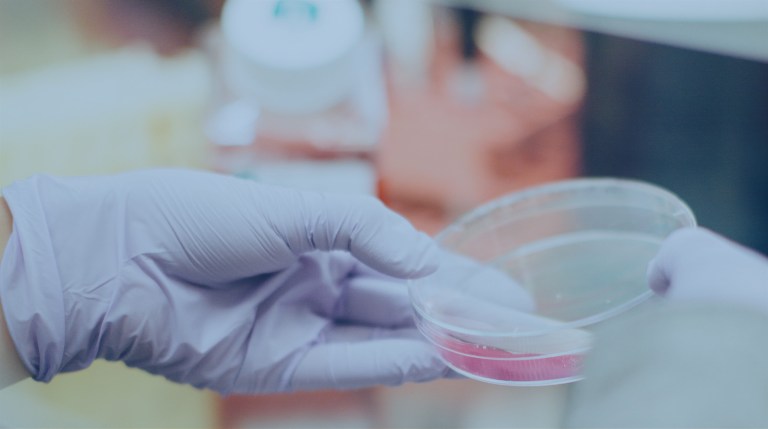 MaxWell Biosystems 微电极阵列